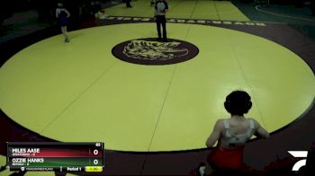 85 lbs Placement (4 Team) - Ozzie Hanks, Bemidji vs Miles Aase, Owatonna