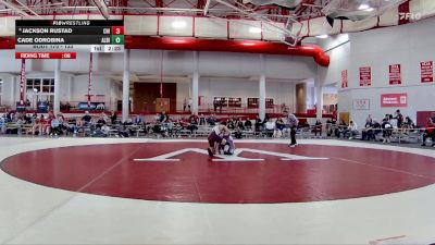 133 lbs Cons. Round 2 - Jackson Rustad, Chicago vs Cade Odrobina, Albion