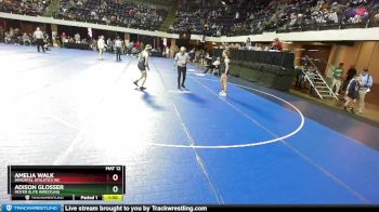 115 lbs Quarterfinal - Adison Glosser, Moyer Elite Wrestling vs Amelia Walk, Immortal Athletics WC