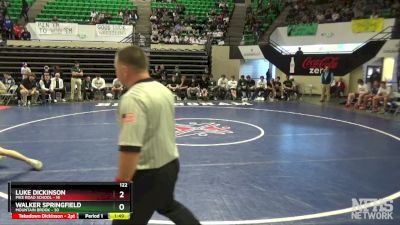 122 lbs Semifinals (16 Team) - Walker Springfield, Mountain Brook vs Luke Dickinson, Pike Road School