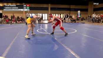 133 lbs Consi Of 4 - Tyler Ferrara, Cornell vs Derrick Cardinal, South Dakota State