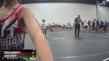 52 lbs Round 7 (10 Team) - Tetsuo Anderson, Georgia United Blue vs Asher Wilbur, Missouri Outlaws