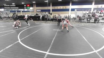101 lbs Consi Of 16 #2 - Dakota Carnes, Red Mountain WC vs Arianna Rodriguez, Valiant College Prep