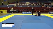 Julie Ann Mongerson vs Leila Cassandra Damato 2024 Pan IBJJF Jiu-Jitsu No-Gi Championship