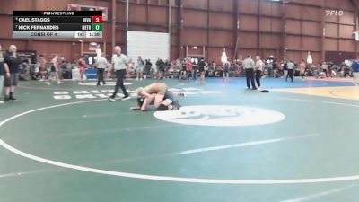 140 lbs Consi Of 4 - Cael Staggs, Nevada Elite vs Nick Fernandes, Metrowest United