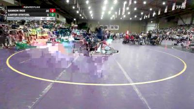 150D 1st Place Match - Carter Stritzel, Lafayette (Wildwood) vs Gannon Rice, Jackson