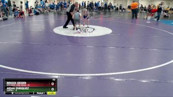 70 lbs Quarterfinals (8 Team) - Aidan Enriquez, Sartell vs Briggs Geiser, NYM (New York Mills)