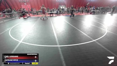 220 lbs Quarterfinal - Cael Leisgang, WI vs Mateusz Nycz, IL
