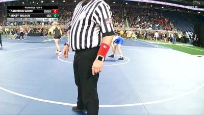 D3-144 lbs Champ. Round 1 - Mikey Wilson, Grand Rapids Catholic Central vs Cameron White, Dowagiac