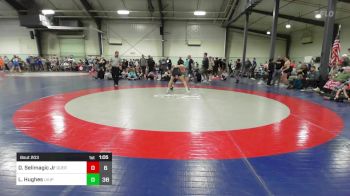 136 lbs Rr Rnd 3 - Dino Selimagic Jr, Guerrilla Wrestling Academy vs Luke Hughes, Level Up