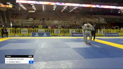 JOSE JOAQUIN VALENZUELA TORRES vs ANDRE GOMES REIS 2022 Pan Jiu Jitsu IBJJF Championship