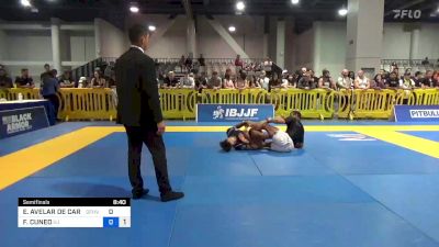 EDUARDO AVELAR DE CARVALHO vs FRANCISCO CUNEO 2023 American National IBJJF Jiu-Jitsu Championship