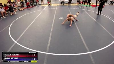 138 lbs Cons. Round 4 - Teague Holzer, WI vs Nicholas Wise, IA