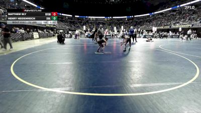 75 lbs Round Of 32 - Matthew Bly, Wyoming Area vs Henry Heidenreich, Shaler