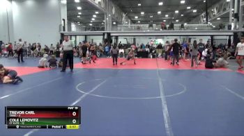 88 lbs Round 5 (6 Team) - Trevor Carl, TNWC vs Cole Lemovitz, CT Elite