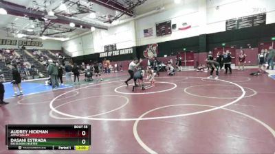 110 lbs Round 3 - Audrey Hickman, Apple Valley vs Dasani Estrada, Excelsior Charter