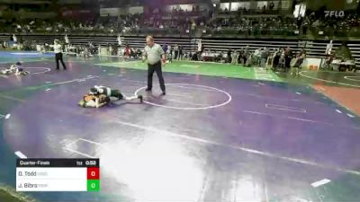 65 lbs Quarterfinal - Dillon Todd, Force Wrestling Club vs Joseph Bibro, Princeton