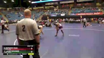 157 lbs Champ. Round 2 - 11 James Williams, Embry-Riddle vs 6 Anthony Maia, Cumberland