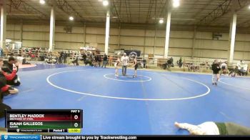 92 lbs Quarterfinal - Bentley Maddox, Brothers Of Steel vs Isaiah Gallegos, Nampa