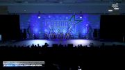 Studio 22 - Youth All Stars Large Lyrical [2025 Youth - Premier - Contemporary/Lyrical - Large Day 1] 2025 Nation's Choice Dance Grand Championship & Cheer Showdown