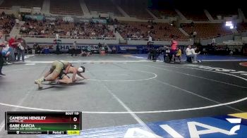 D1-113 lbs Quarterfinal - Gabe Garcia, Sandra Day OConnor Hs vs Cameron Hensley, Casteel HS