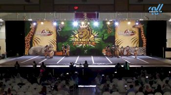 Legacy Cheer - Shine [2024 L2 Senior - D2 Day 1] 2024 ASC King of the Jungle Nashville Showdown