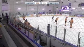 Replay: Home - 2025 Bulldogs vs Bobcats | Jun 23 @ 6 AM
