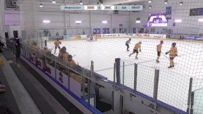 Replay: Home - 2025 Bulldogs vs Bobcats | Jun 23 @ 6 AM