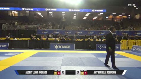 Jonathan Douglass Powell vs Michael Araiza 2026 Pan Jiu Jitsu IBJJF Championship