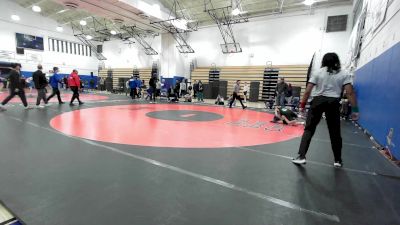 108 lbs Consolation - Leona Gao, Brooklyn Technical-PSAL vs Nathaniel Torres, Bathgate Campus-PSAL