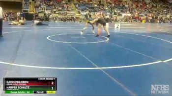 170 lbs Champ. Round 1 - Harper Schultz, Fargo North vs Gavin Pihlgren, Grand Forks Central