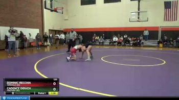 120 lbs Cons. Round 3 - Dominic Recchia, YORKVILLE (HS) vs Cadence Diduch, FREEPORT (HS)