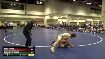 145 lbs Cross Bracket (8 Team) - Brodie Dominque, Foxfire vs Dreu White, Nebraska Big Kahunas
