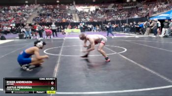 113 lbs Cons. Round 6 - Justus Peregrina, Coeur D Alene vs Ryker Andreason, Owyhee