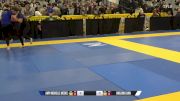 Jingjing Dan vs Amy Michelle Meeks 2024 World IBJJF Jiu-Jitsu No-Gi Championship