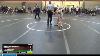 96 lbs Round 1 - Leland Cline, Virginia Patriots vs Brayden Wenrich, Lion`s Den