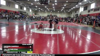 102 lbs Champ. Round 2 - Jackson Ganfield, MN Elite vs Callan Shelstad, Centennial