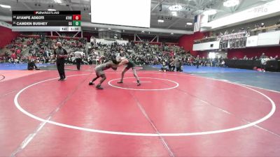167 lbs Champ. Round 3 - Camden Bushey, Casa Grande vs Ayanfe Adeoti, Athenian