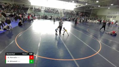 43 lbs Quarterfinal - Raxtin Winward, Sanderson Wrestling Academy vs Barrett Mamalis, Green River Grapplers