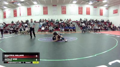 110 lbs Quarterfinal - Natalie Wise, Cloverleaf vs Beautiful Williams, Ellet