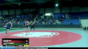 184 lbs Cons. Semi - Wyatt Lidberg, UMary vs Colter Bye, Upper Iowa