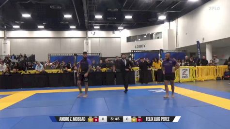 Felix Luis Perez vs Andro Z. Mossad 2024 World IBJJF Jiu-Jitsu No-Gi Championship