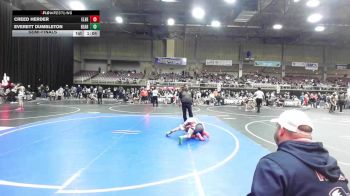 98 lbs Semifinal - Creed Herder, Elbert County Wranglers vs Everett Dumbleton, Bear Cave