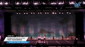 Florida Top Dog All Stars - Tiny Tangerine [2025 L1 Tiny - Novice - Restrictions Day 1] 2025 The American Open Orlando Nationals