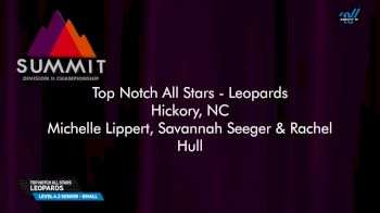 Top Notch All Stars - Leopards [2025 L4.2 Senior - Small Prelims] 2025 The D2 Summit