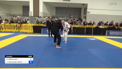 Sean Nikmorad vs Jonathan Alexander Martin 2024 World Masters IBJJF Jiu-Jitsu Championship