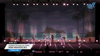 Florida Top Dog All Stars - Mini Mavericks [2025 L1 Mini Day 2] 2025 The American Open Orlando Nationals