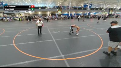 61 lbs Champ. Round 1 - Cullen Helm, Hernando Wrestling Club vs Ridge Hale, Unattached