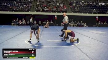 133 lbs Champ. Round 2 - Coby Haney, Millikin vs Domingo Davila, Schreiner