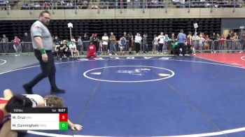 105 lbs Quarterfinal - William Cruz, Paulsboro vs Mason Cunningham, Frackville